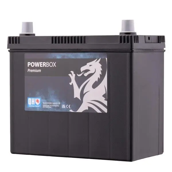 Starter Battery