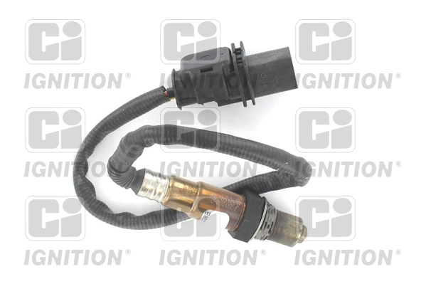 Oxygen Sensor