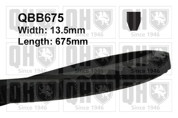 V-Belt
