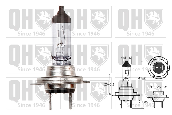Bulb, spotlight