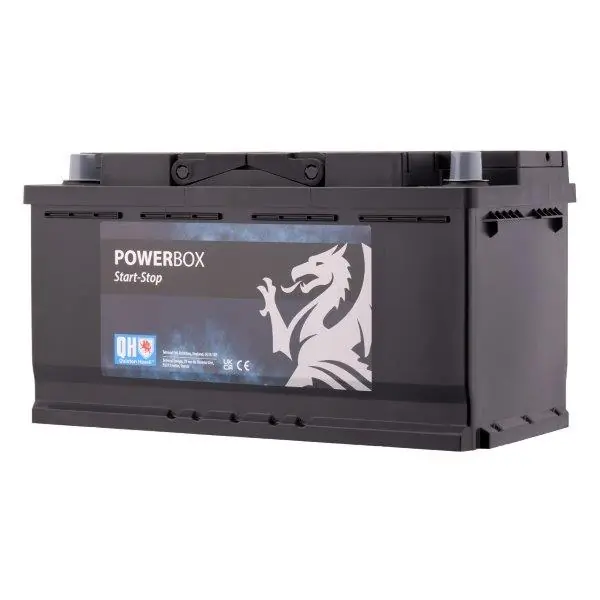 Starter Battery