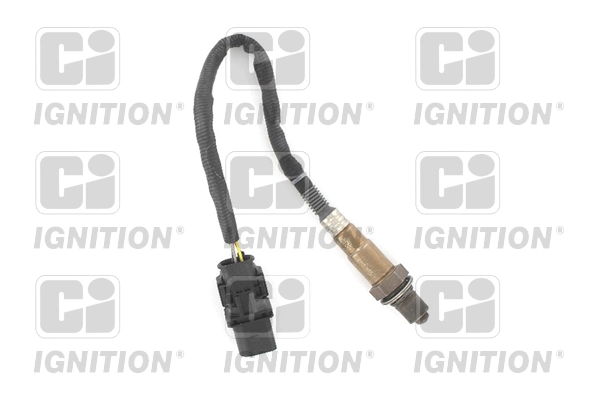 Oxygen Sensor
