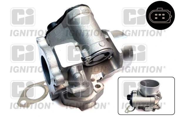 EGR Valve