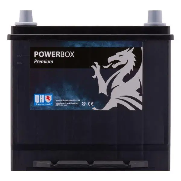 Starter Battery