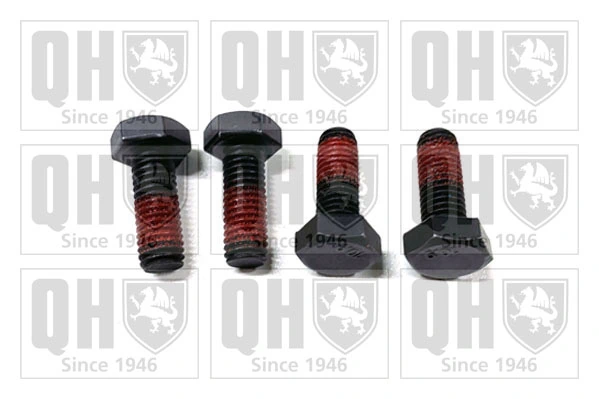 Bolt, brake caliper