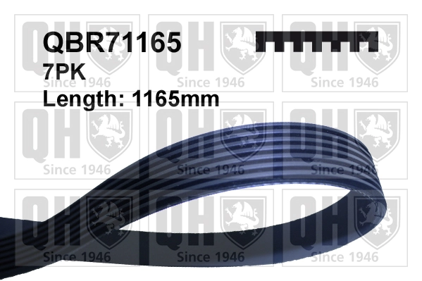 V-Ribbed Belt