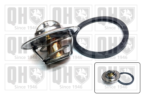 Thermostat, coolant