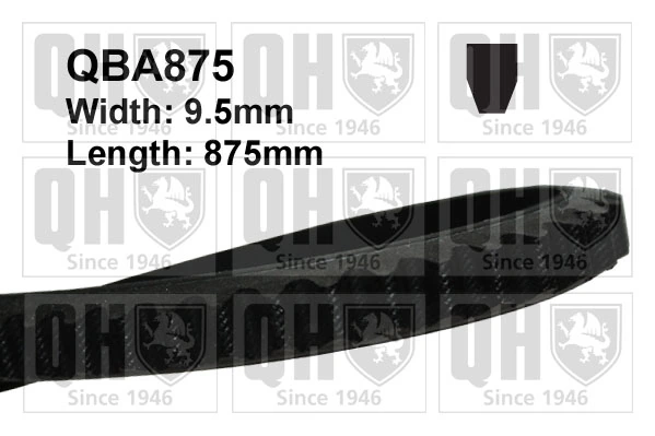 V-Belt