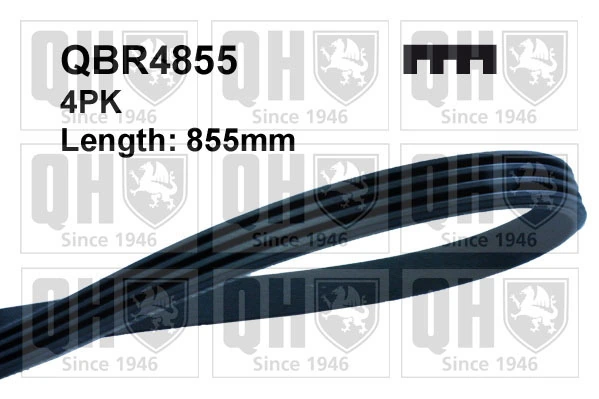 V-Ribbed Belt