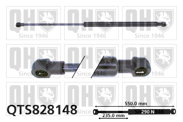 Gas Spring, boot/cargo area