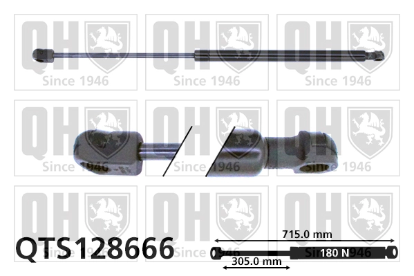 Gas Spring, bonnet
