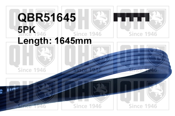 V-Ribbed Belt