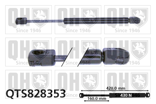 Gas Spring, boot/cargo area
