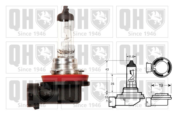 Bulb, front fog light