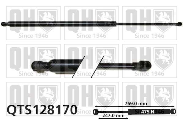 Gas Spring, boot/cargo area