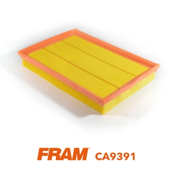 FRAM CA9391
