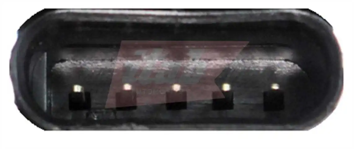EGR Module