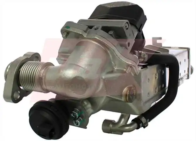EGR Module