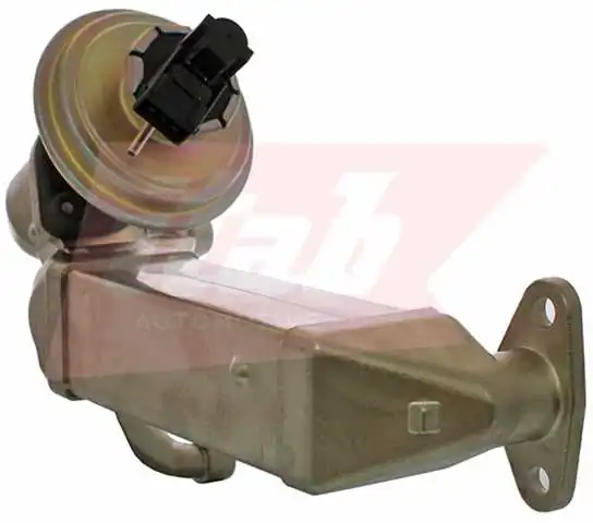 EGR Module