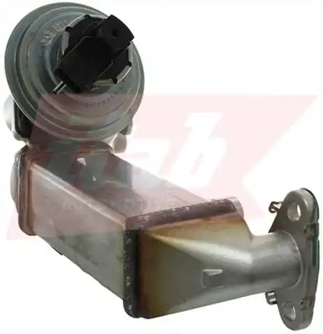 EGR Module
