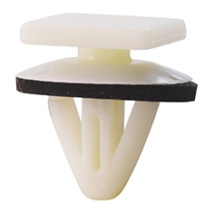 Clip, trim/protection strip