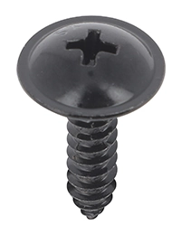 Clip, trim/protection strip
