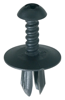 Clip, trim/protection strip