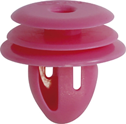 Clip, trim/protection strip