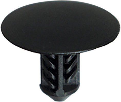 Clip, trim/protection strip