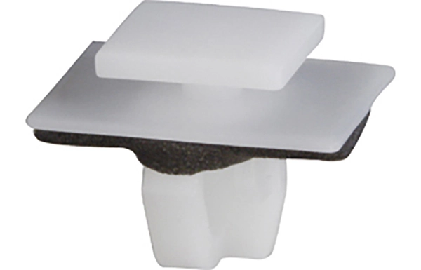Clip, trim/protection strip