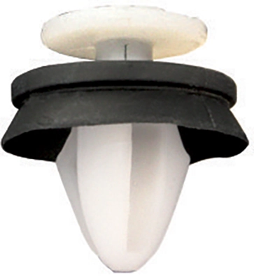 Clip, trim/protection strip