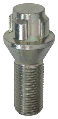 Wheel Bolt
