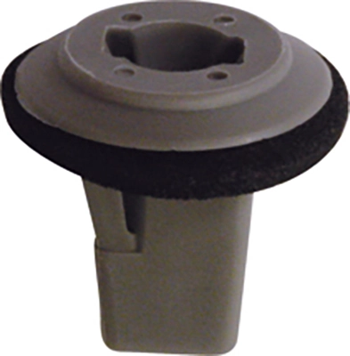 Clip, trim/protection strip