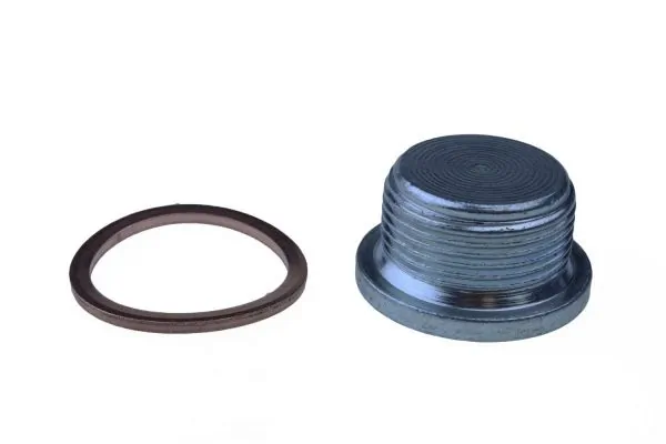 Screw Plug, crankcase
