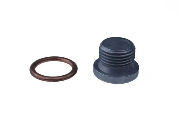 Screw Plug, crankcase