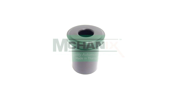 Bushing, leaf spring
