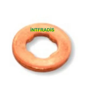 Seal Ring, nozzle holder