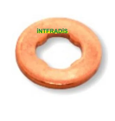 Seal Ring, nozzle holder