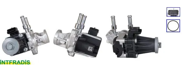 EGR Valve