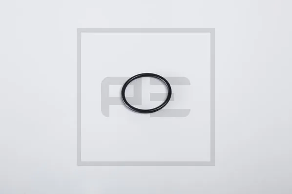 Bague d'étanchéité PE Automotive 046.219-00A