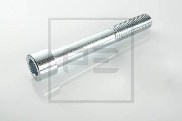 Vis PE Automotive 055.405-20A