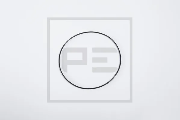 Bague d'étanchéité PE Automotive 066.173-00A