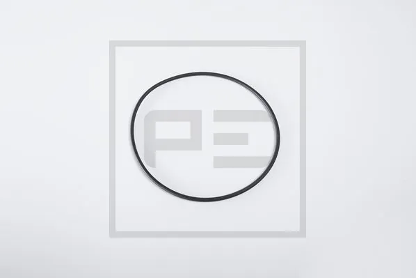 Bague d'étanchéité PE Automotive 066.176-00A