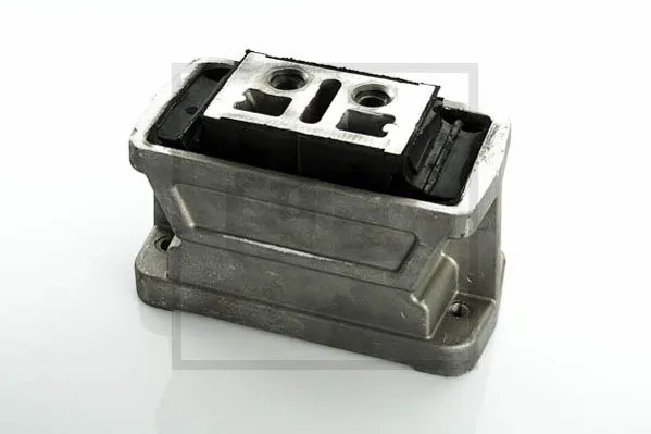 Support moteur PE Automotive 010.660-00A