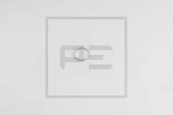 Bague d'étanchéité PE Automotive 076.198-00A