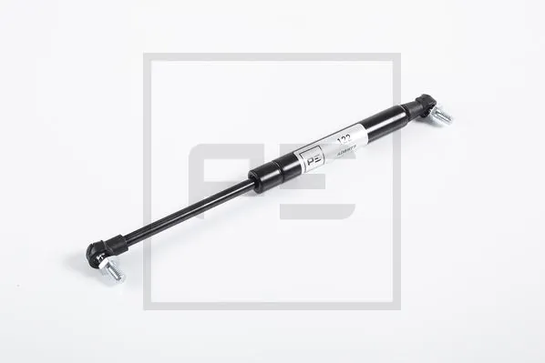Vérin PE Automotive 030.356-00A