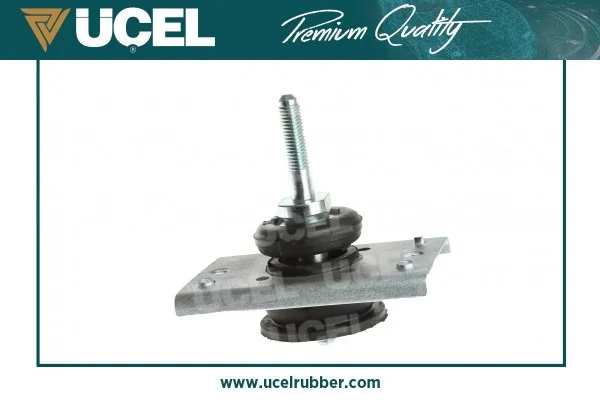 Mounting, engine