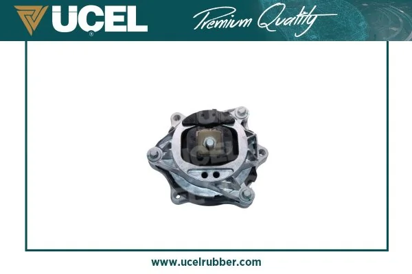 Mounting, engine