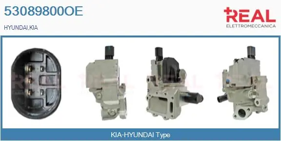 EGR Valve