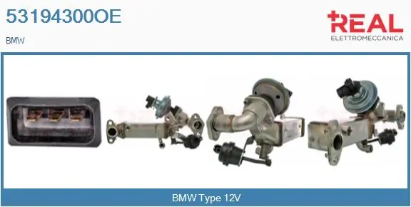 EGR Module